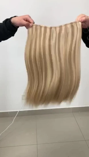 Qualité en gros toutes les couleurs 100% Remy cheveux russes cheveux vierges brésiliens Halo dans les Extensions de cheveux