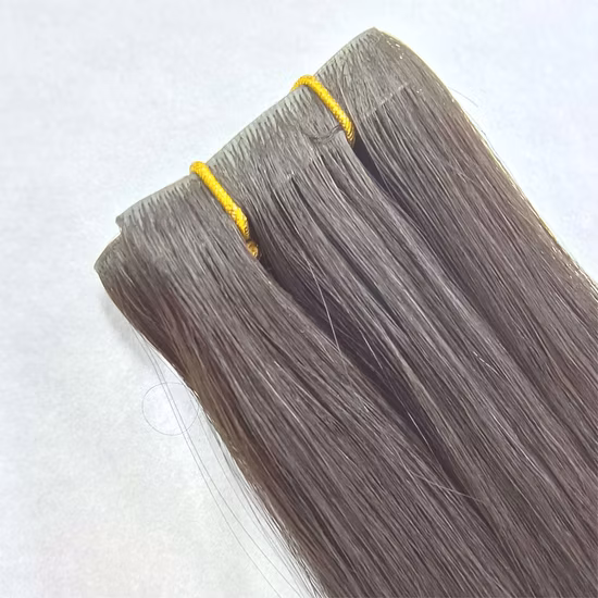 Aviva Salon Qualité Vierge Cuticules Alignées Cheveux Humains Balayage Ombre Bande Extension de Cheveux (AV